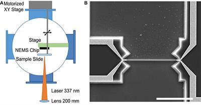 Performance of Nano-Electromechanical Systems as Nanoparticle Position Sensors